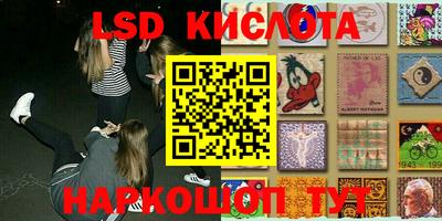 крисы Новокубанск