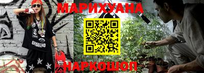 крисы Новокубанск