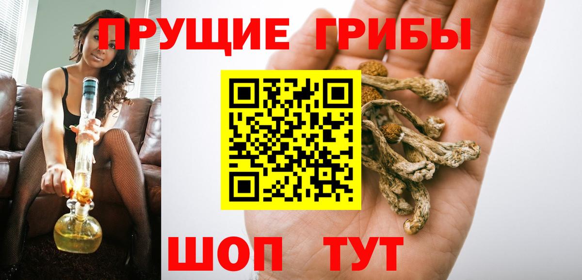 Псилоцибиновые грибы MAGIC MUSHROOMS  Вход с VPN  Урюпинск 