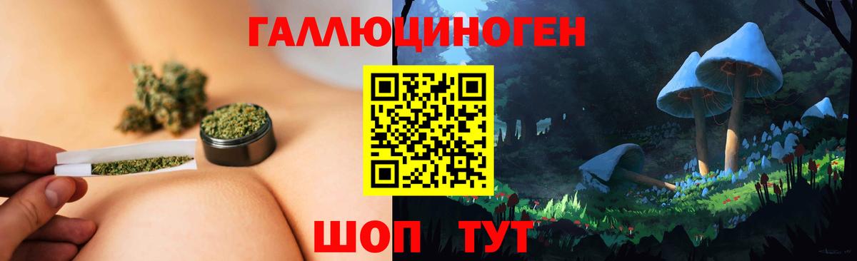 Галлюциногенные грибы Psilocybe Урюпинск